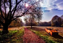 Jak długo działają świece żarowe? Jak długo działają świece żarowe?