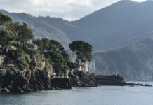 Ile kosztuje jeden wtrysk do diesla?