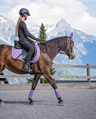 Czy światła do jazdy dziennej muszą być z tyłu? Czy światła do jazdy dziennej muszą być z tyłu?