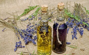 Co ile wymiana oleju fiat tipo? Co ile wymiana oleju fiat tipo?