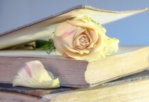 Czy warto kupić używane Subaru Justy?