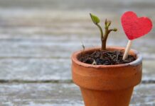 Jak rozciągnąć uszczelkę?