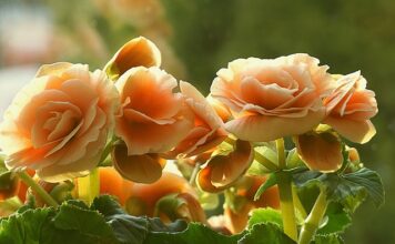 Czy ukośnica można ciąć płytki?