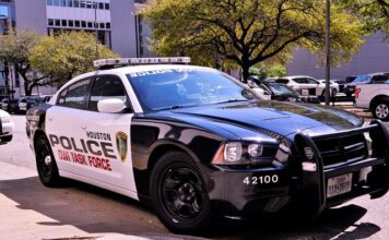 Jaki mandat za jazde po lesie quadem?