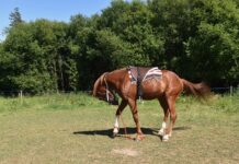 Jak prawidłowo zamontować światła do jazdy dziennej?